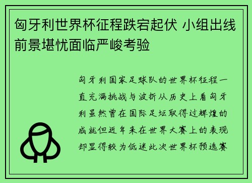 匈牙利世界杯征程跌宕起伏 小组出线前景堪忧面临严峻考验
